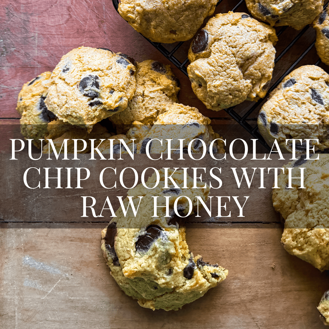 Pumpkin Chocolate Chip Cookies with Raw Honey - Mayberry Farms