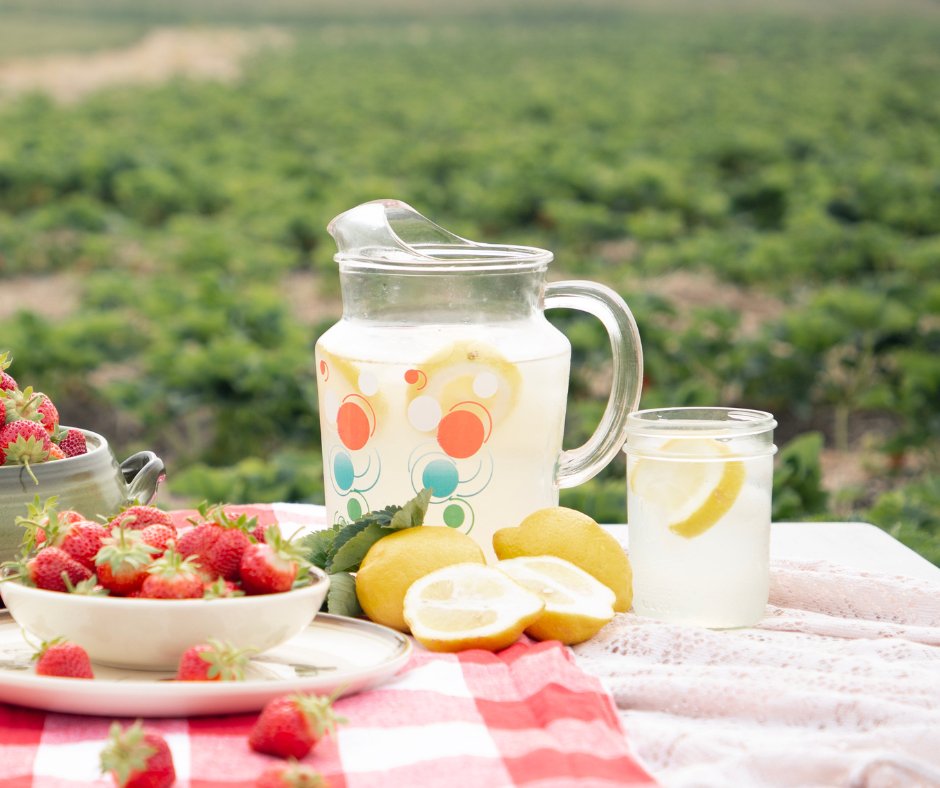 Honey Lemonade - Mayberry Farms