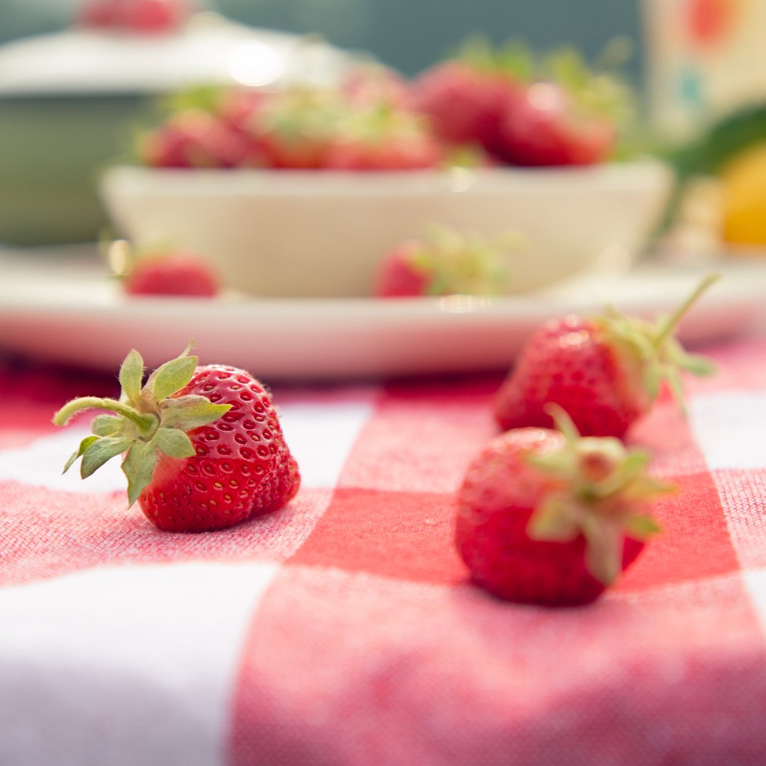 Strawberry Season FAQs - Mayberry Farms