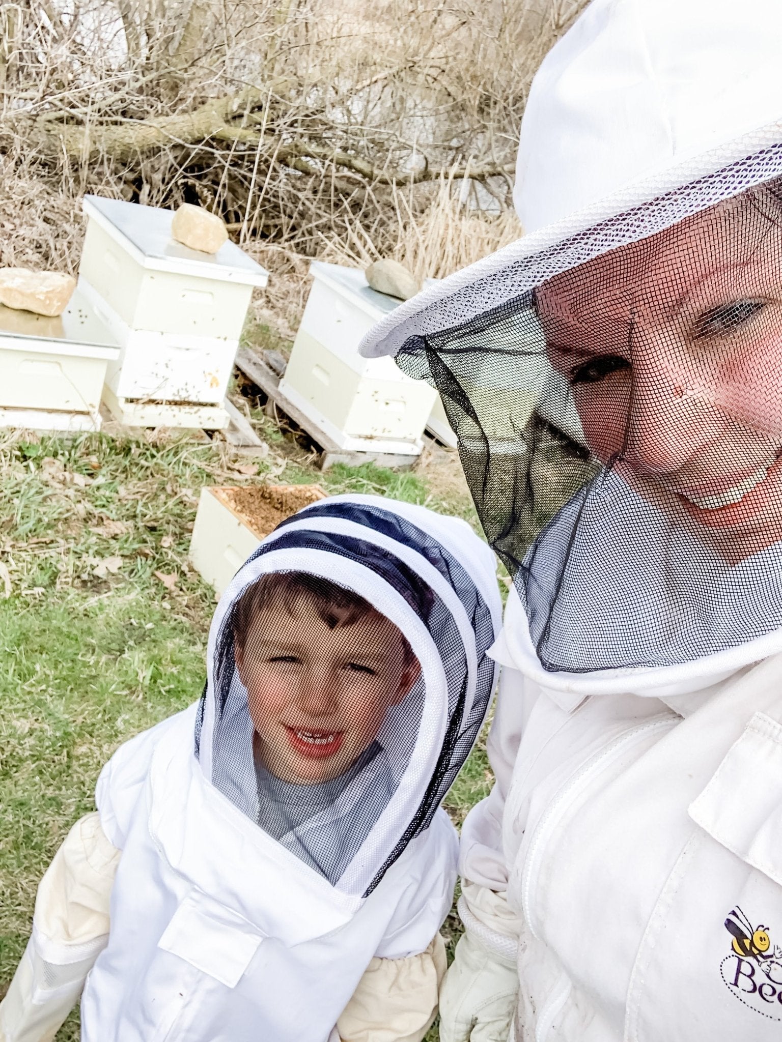 Why Are Honeybees Important For Growing Strawberries? - Mayberry Farms