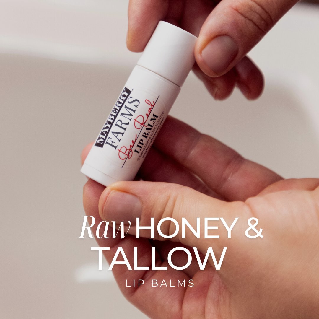 Best Selling Raw Honey and Tallow Lip Balms - Mayberry Farms 