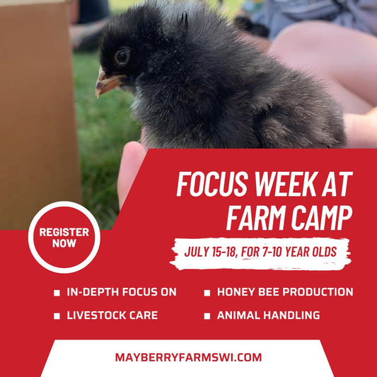 Farm Focus Week Livestock Production and Care Farm Camp July 15-18 Ages 7-10 - Mayberry Farms