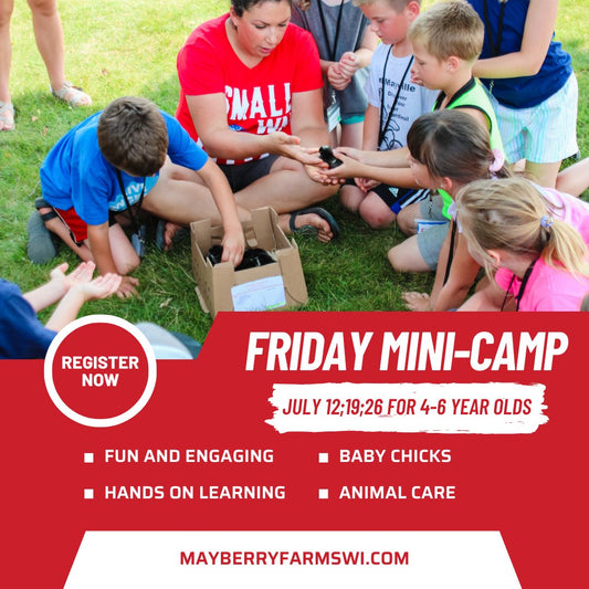 Friday Mini Farm Camp for Little Farmers Ages 4-6 - Mayberry Farms