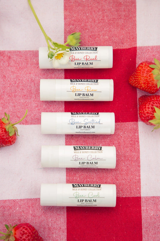 Raw Honey and Tallow Lip Balm Bundle - Mayberry Farms