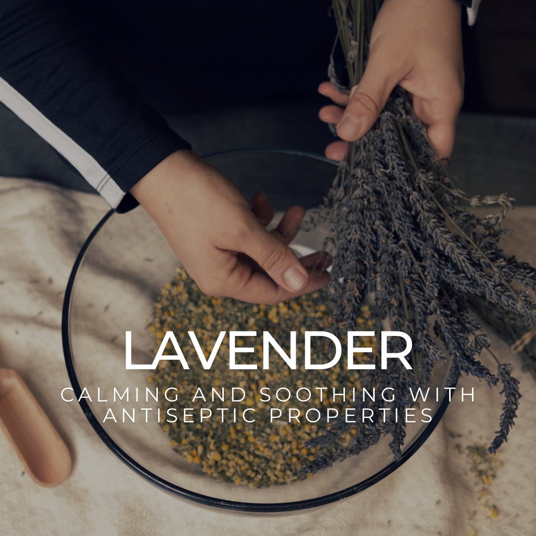 The Lavender Bundle - Mayberry Farms