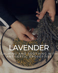 The Lavender Bundle - Mayberry Farms